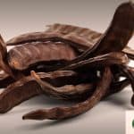 Carob: 4 Reasons Why You Should Use This Nutrient-Dense, High-Protein, Functional Superfood
